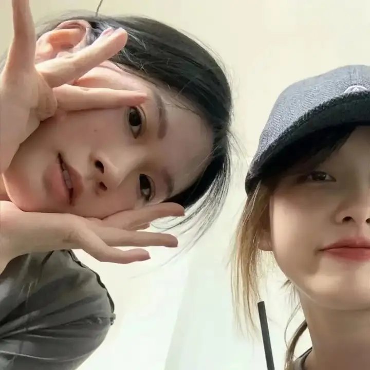 猫头鹰与小飞象